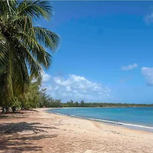 apartamento-cerca-de-la-playa.top-hotels-puertorico.com/
